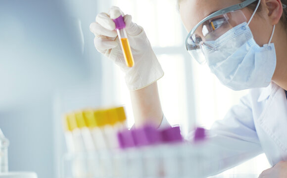 Researcher, doctor, scientist or laboratory assistant working with plastic medical tubes in modern lab or hospital