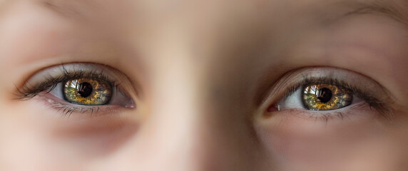 Naklejka premium Close-up of beautiful bright brown-green eyes of a girl.