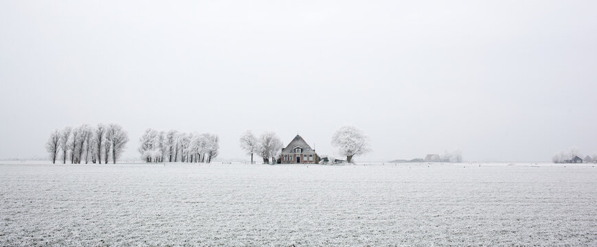 Holland winter panorama