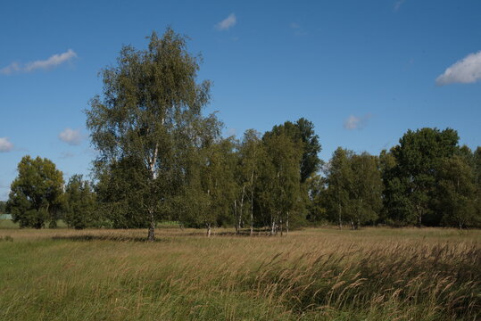 Ehemaliges Rieselfeld in der Gemeinde Panketal, n&ouml;rdlich von Berlin