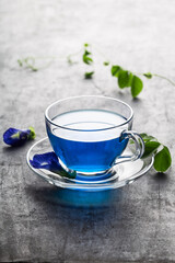 Butterfly pea blue pea tea on grey concrete background.