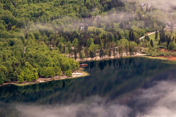 Fototapeta premium Bohinj lake coastline covered in fog