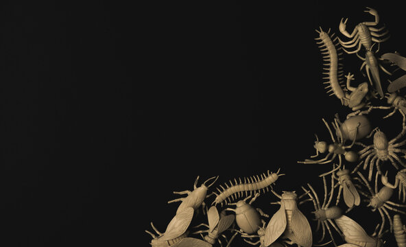 Insectorium/collection of bugs/insects.