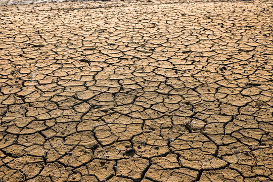 Dry mud