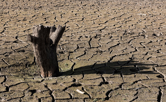 Dry mud