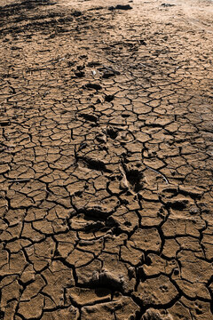 Dry mud
