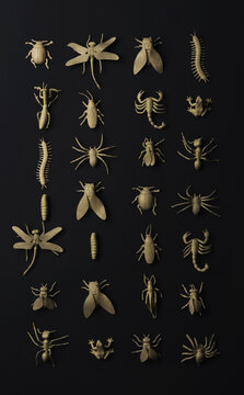Insectorium/collection of bugs/insects.