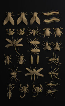 Insectorium/collection of bugs/insects.