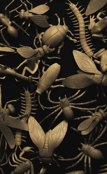 Insectorium/collection of bugs/insects.