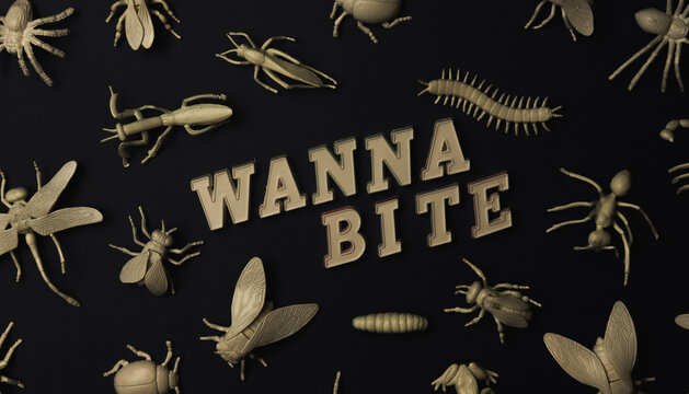 Insectorium/collection of bugs/insects with text ""Wanna bite?""