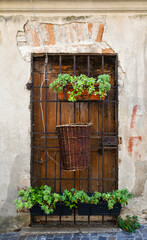 Fototapeta na wymiar Close-up of an old wooden door closed with a rusty metal grating and decorated with potted succulent plants, Italy