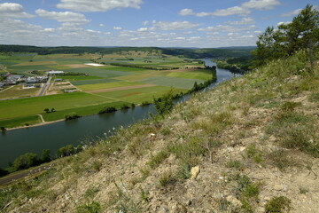 Naturschutzgebiet Grainberg-Kalbenstein bei Karlstadt, Landkreis Main-Spessart, Unterfranken,...