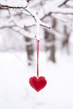 Red wooden heart on snowy branch