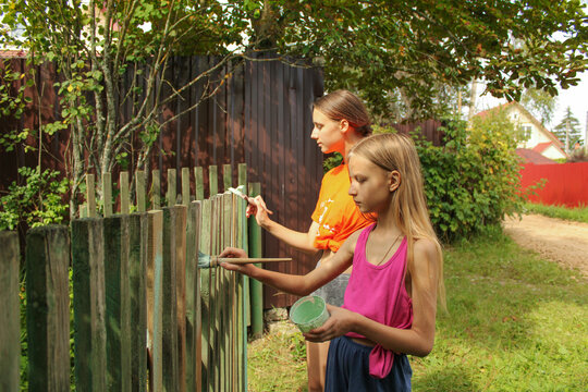 Two sisters paint the fence in green with a brushes. House improvement and help to parents concept.