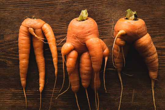 Three ugly carrots on a wooden background. Funny, unnormal vegetable or food waste concept. Horizontal orientation top view