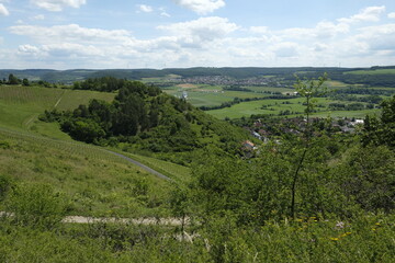 Weinberge und Muschelkalkfelsen am Naturschutzgebiet Hammelberg bei Hammelburg,  Landkreis Bad Kissingen,  Unterfranken,Franken, Bayern, Deutschland