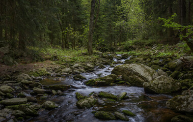 Naklejka na ściany i meble Clean flowing river in the middle of the forest.