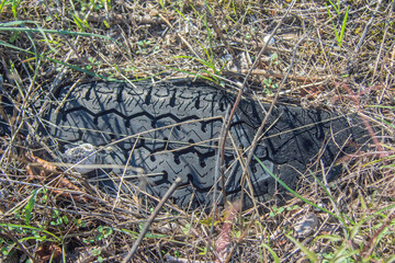 Obraz premium Pollution - Pneu enfouis dans le sol.