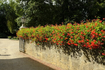 Kurpark Bad Neustadt, Landkreis Rhön-Grabfeld, Unterfranken, Franken, Bayern, Deutschland
