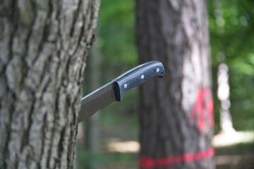 Knife in forest 