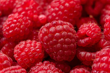 Ripe fresh raspberry berries close-up