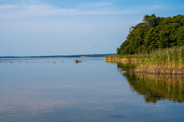 Beautiful scenery at a lake one of the latest days of summer. Picture from Ringsjon, Scania, southern Sweden. Blue sky meets blue water
