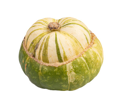 Cucurbita maxima, Giraumon turban de Turc