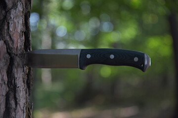 Knife in forest 