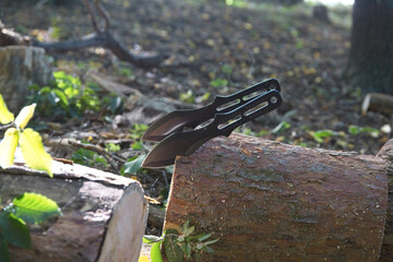 Knife in forest 