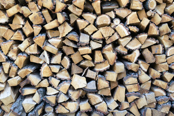 Lots of firewood background. Horizontal orientation.