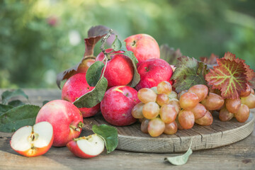 Healthy organic apples, grapes on wooden table in the garden. Apple harvest