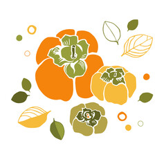 Persimmon on white background. Flat style.
Illustration for wrapping paper, post cards, prints for clothes, and emblems. Design for cosmetics, spa, health care products and perfume.