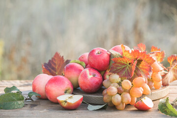 Healthy organic apples, grapes on wooden table in the garden. Apple harvest