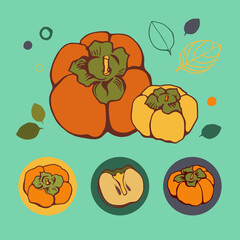 Vector set with persimmon on color background. Flat style.
Illustration for wrapping paper, post cards, prints for clothes, and emblems. Design for cosmetics, spa, health care products and perfume.