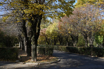 Naklejka premium Allphotokz Gorkiypark 20191026 4570 D810 S