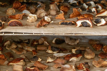 Abstract background of boletus (boletus edulis) mushrooms pieces drying in the oven
