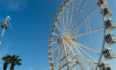 Ferris Wheel with Clean Sky and palm trees