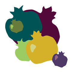 Pomegranate on white background. Vector illustration for prints for clothes, post cards and emblems.
