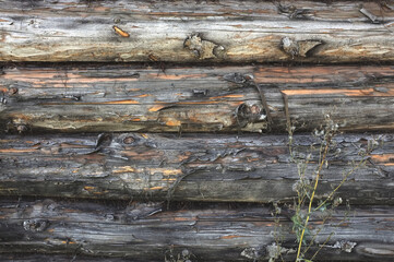Dark grey wooden background. Old weathered log wall. Craked shabby logs