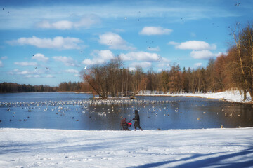 Silhouette of a mother with a baby carriage on the background of a lake in a winter Park