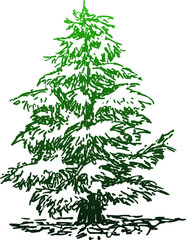 Modern christmas tree. vector material of green tree hand drawn