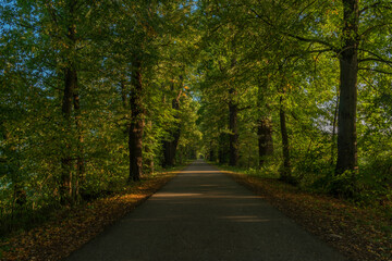 Fototapeta na wymiar Bike path near Nadeje pond near Hluboka nad Vltavou town in summer morning
