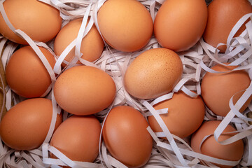 Put the eggs in a cushion made of shredded paper