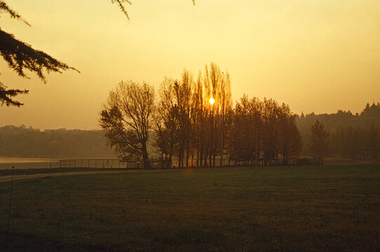 1969. Sweden, golden hour on a field.