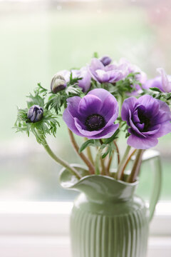 Purple Anemone flowers in a green jug.