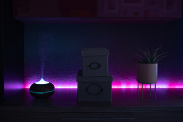 LED night and humidifier lamp in room with plant
