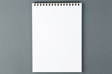 Craft spiral open notebook.