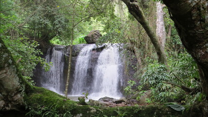 Fototapeta premium waterfall in the woods