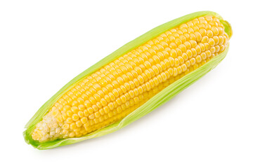 An ear of corn isolated on a white background