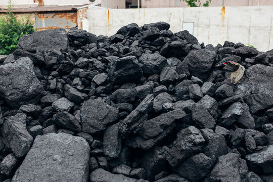 Heaps of black coal